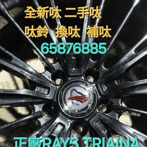 二手呔鈴 補呔 65876885 正廠日本鈴 20吋RAYS TRIAINA 20*8.5+38 5*112正型新凈微花...