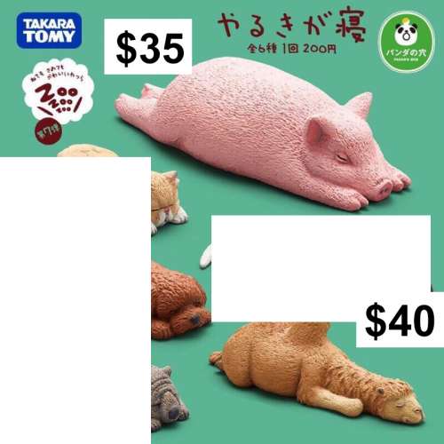TOMY T-ARTS 熊貓之穴休眠動物園第七彈VOL.7 (2) #扭蛋