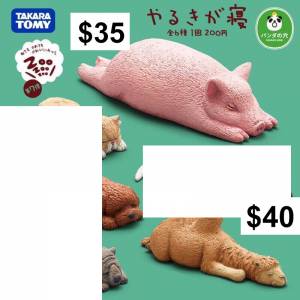 TOMY T-ARTS 熊貓之穴休眠動物園第七彈VOL.7 (2) #扭蛋