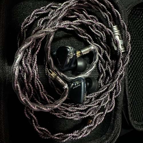 瞬聲 Flash Acoustics Thunderstor 雷暴升級線 + Roseselsa QuietSea II (靜海II) ...