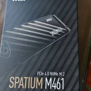 msi m461 2tbssd pcie4.0