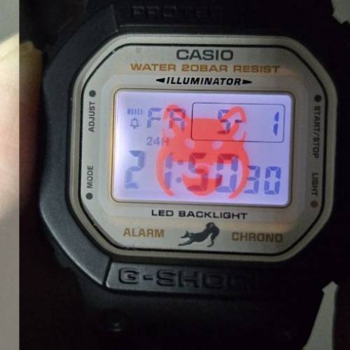 Casio Kuro Shiba 柴犬 DW-5600SHB-1JR