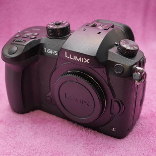 Panasonic Lumix GH5 body + battery drip