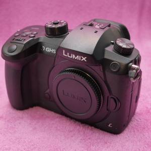 Panasonic Lumix GH5 body + battery drip