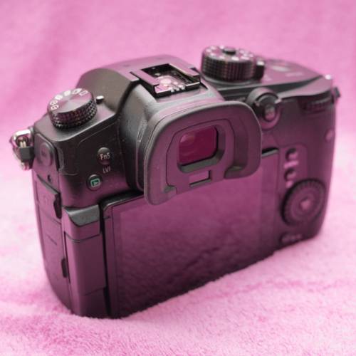 Panasonic Lumix GH5 body + battery drip