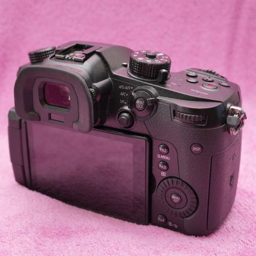 Panasonic Lumix GH5 body + battery drip
