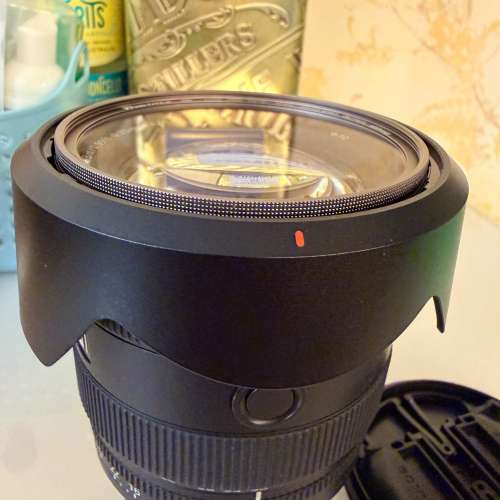 Sony FE 20-70mm F4 G