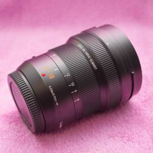 Panasonic Leica DG Vario-Elmarit 8-18mm Lens