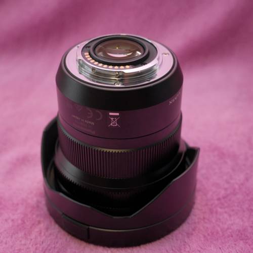 Panasonic Leica DG Vario-Elmarit 8-18mm Lens