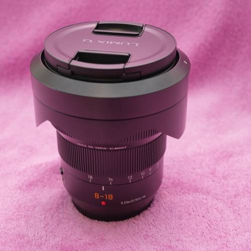 Panasonic Leica DG Vario-Elmarit 8-18mm Lens