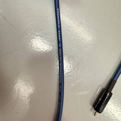 Wireworld Oasis 10 (OAI) RCA 模擬訊號線（一對/共兩條）