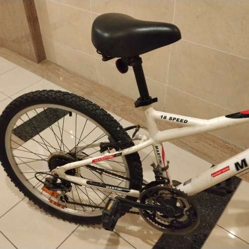 18 速 成人單車一部 ，24吋，不可摺。
