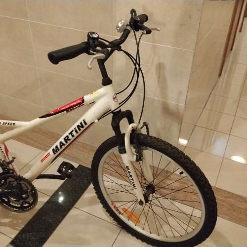 18 速 成人單車一部 ，24吋，不可摺。