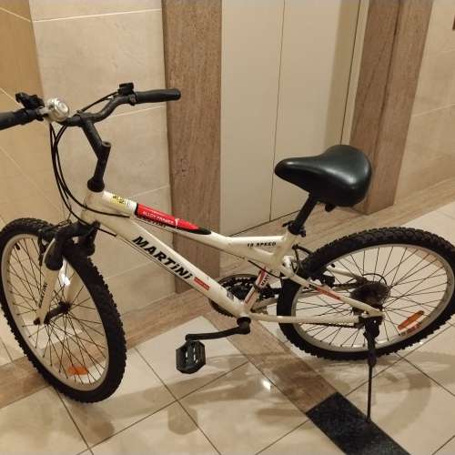 18 速 成人單車一部 ，24吋，不可摺。
