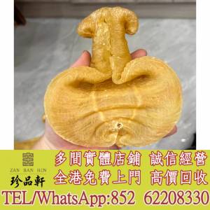 實體門市 免費上門：花膠，魚膠，魚肚，老花膠，陳年花膠，鰵魚膠，北海母，金錢膠...