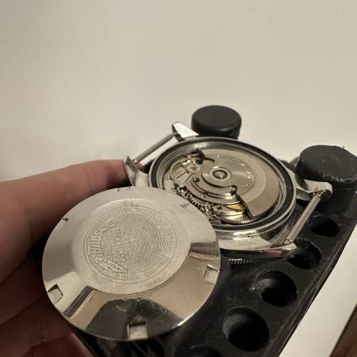Margi Squale Medium 自動潛水錶 $2200