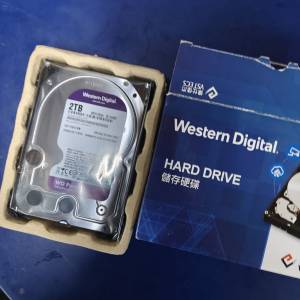 WD 紫盤2Tb