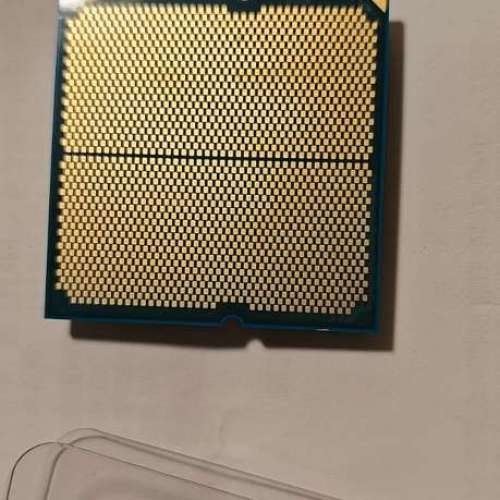 AMD Ryzen 9 9900X tray