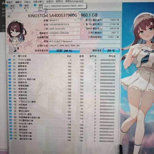KINGSTON A400 960G