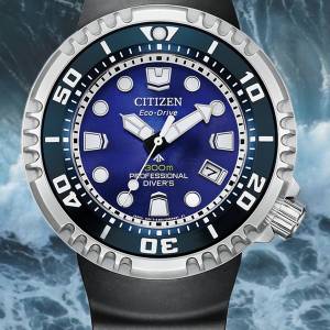 Citizen BN1025-08L​