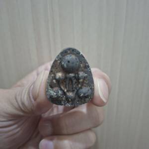 鬼兵必打後面招財魚2566