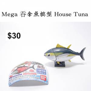 Mega 吞拿魚模型 House Tuna #扭蛋