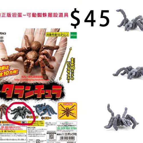 Mega 吞拿魚模型 House Tuna #扭蛋