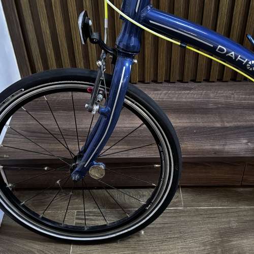 Dahon Cheetah P18