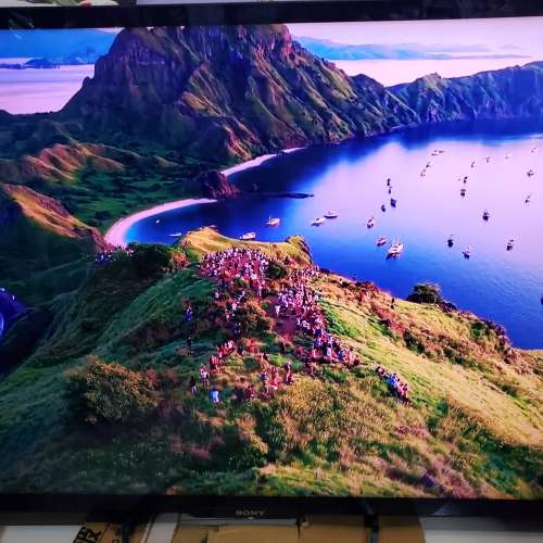 SONY  BRAVIA   電視機 KD-55X9000A  Triluminos display 3D  4K  連遙控 日本制造...
