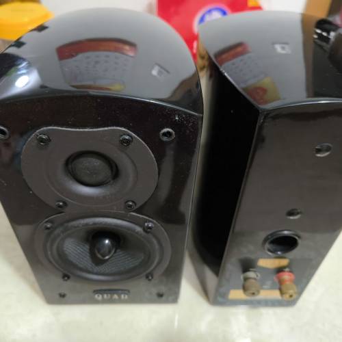 Quad L-lite Plus Satellite 喇叭