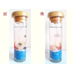 熱帶海底裝飾蠟蠋