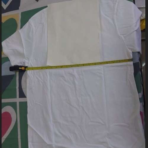 莎芬阿美 白色圓領全棉T恤 2XL 4件