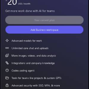 ChatGPT Business / team / Codex
