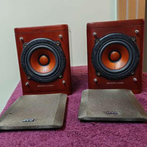 JVC EX-A1 Wood Cone speaker
