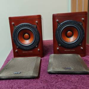 JVC EX-A1 Wood Cone speaker
