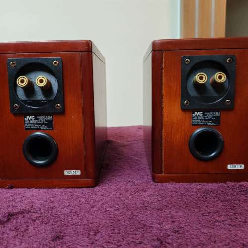 JVC EX-A1 Wood Cone speaker