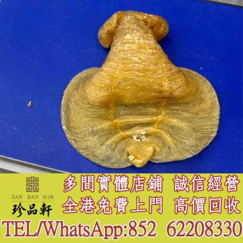 實體門市 免費上門：花膠，魚膠，魚肚，老花膠，陳年花膠，鰵魚膠，北海母，金錢膠...