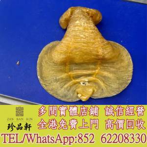 實體門市 免費上門：花膠，魚膠，魚肚，老花膠，陳年花膠，鰵魚膠，北海母，金錢膠...
