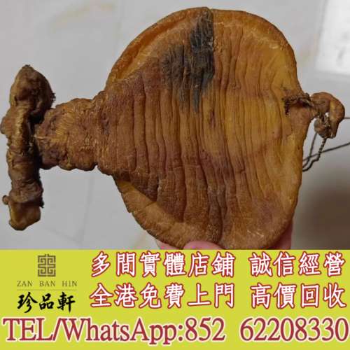 實體門市 免費上門：魚膠，老魚膠，花膠，老花膠，赤嘴，白花，蜘蛛，紅雞，台山，...