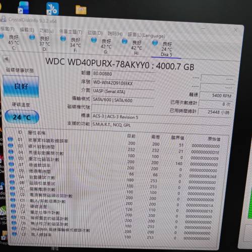WD 紫盤 4tb