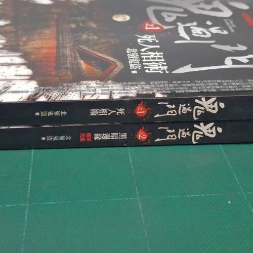 北嶺鬼盜所著的恐怖靈異驚悚小說《鬼過門》全系列，由普天出版社出版。該系列總共只...