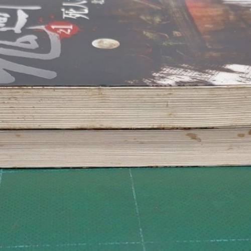 北嶺鬼盜所著的恐怖靈異驚悚小說《鬼過門》全系列，由普天出版社出版。該系列總共只...