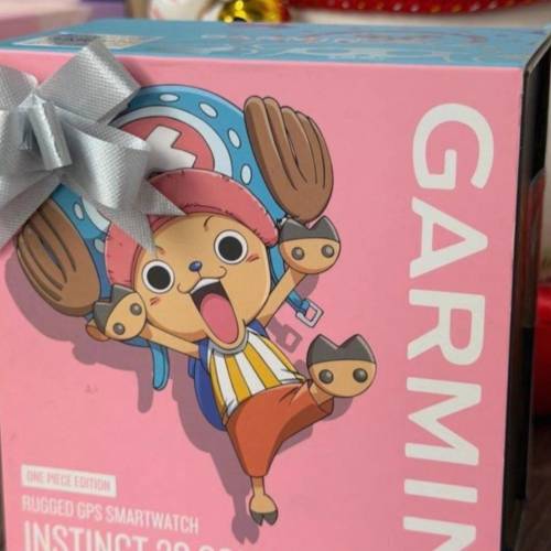 Garmin 佳明海贼王