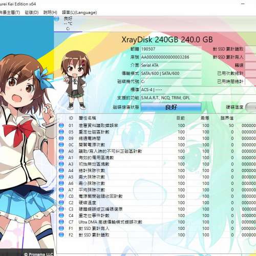 XrayDisk NVME SSD 240GB 全新 ((已安裝window11Pro系統))