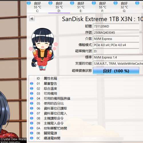 SanDisk Extreme 至尊超極速 M.2 NVMe SSD 1TB (WD Black SN770)