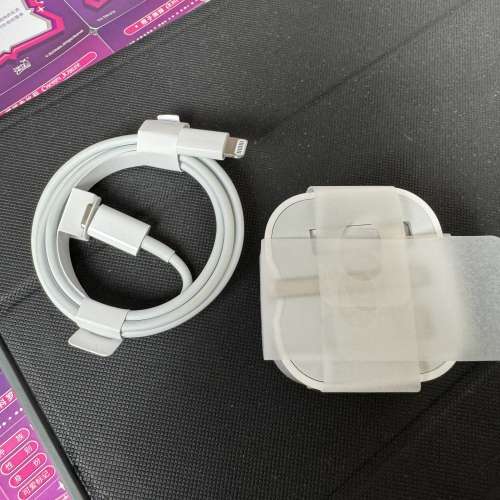 全新iPhone 原廠快充一套！