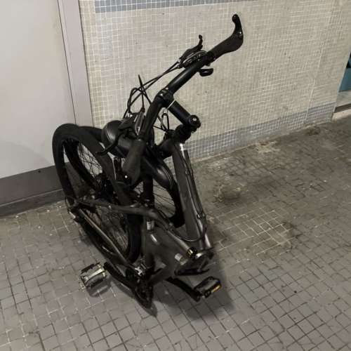 Dahon Matrix P24折疊車