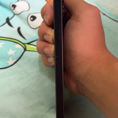 iPhone 12 (可換其他手機)