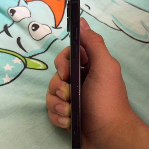 iPhone 12 (可換其他手機)