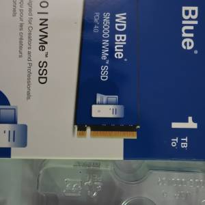 Wd sn5000 1tb ssd